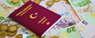 Información del pasaporte