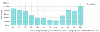Rainfall and Snowfall Insights in January
